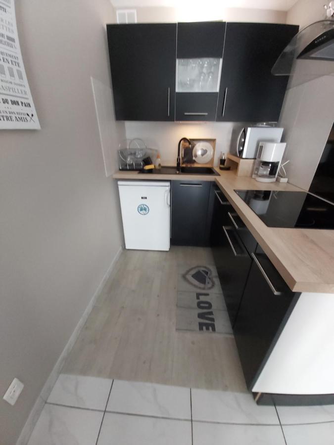 :) Grand Studio Lumineux A Toulouse Et Parking Екстериор снимка